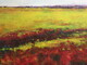 Field One  -  SOLD