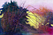 Saanich Trees I 24x36 acrylic on canvas